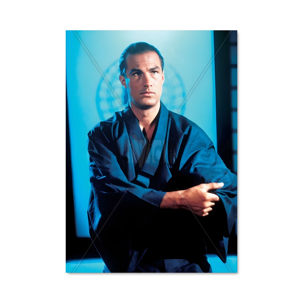 Poster Steven seagal agrémenter